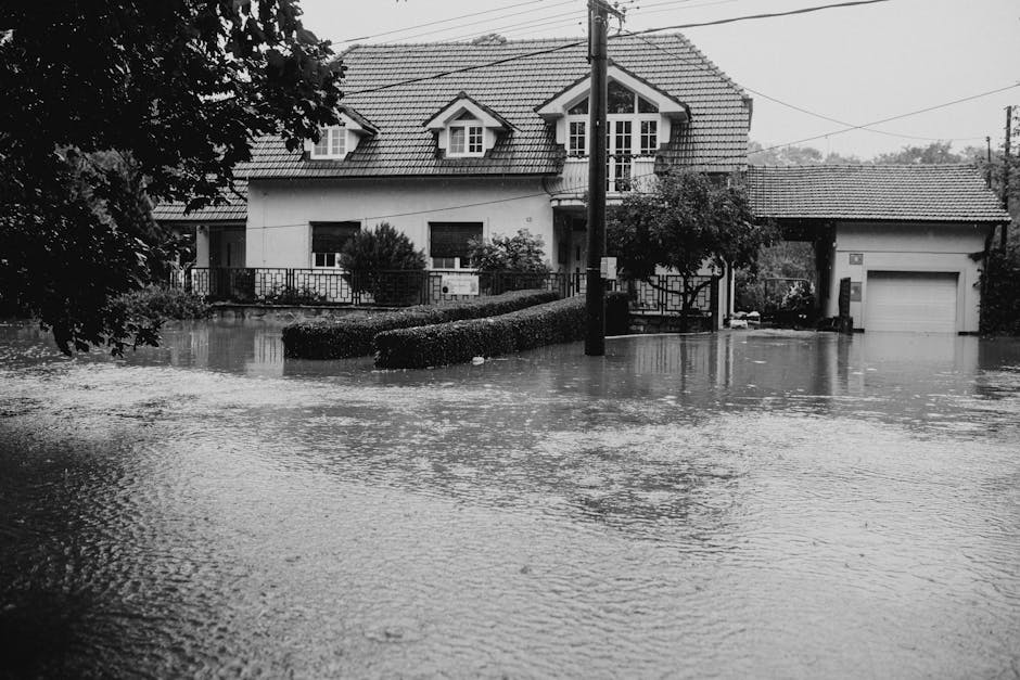 flood insurance claim Florida
